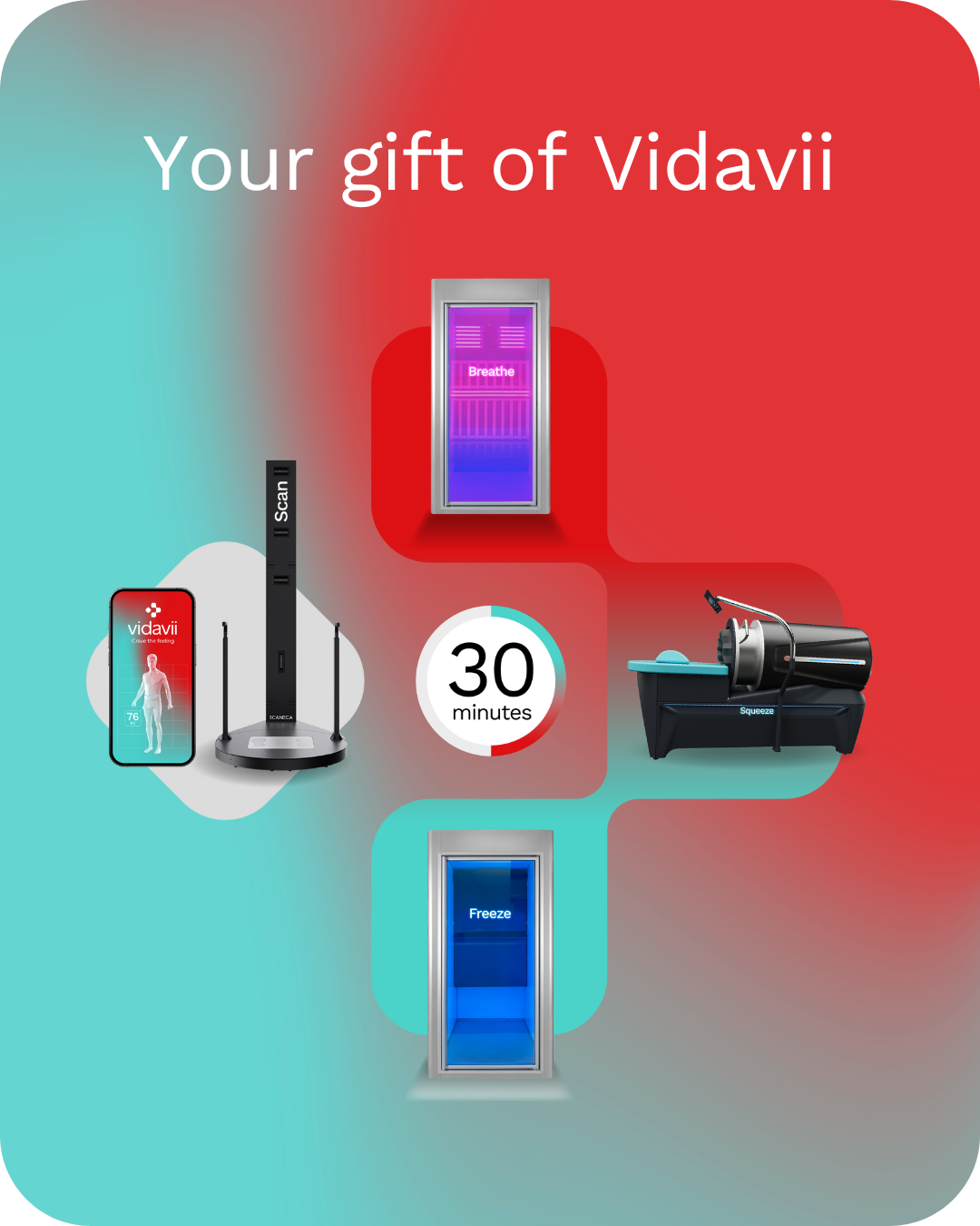 A single Vidavii Circuit.
