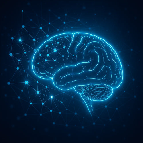 Brain X 360 Mapping Test