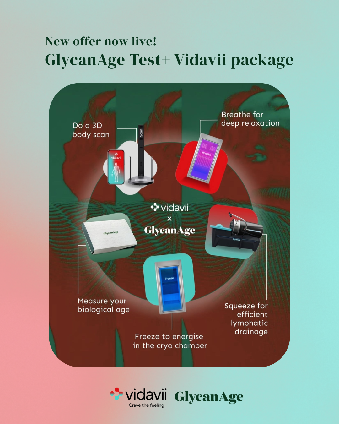 GlycanAge package 3 Months
