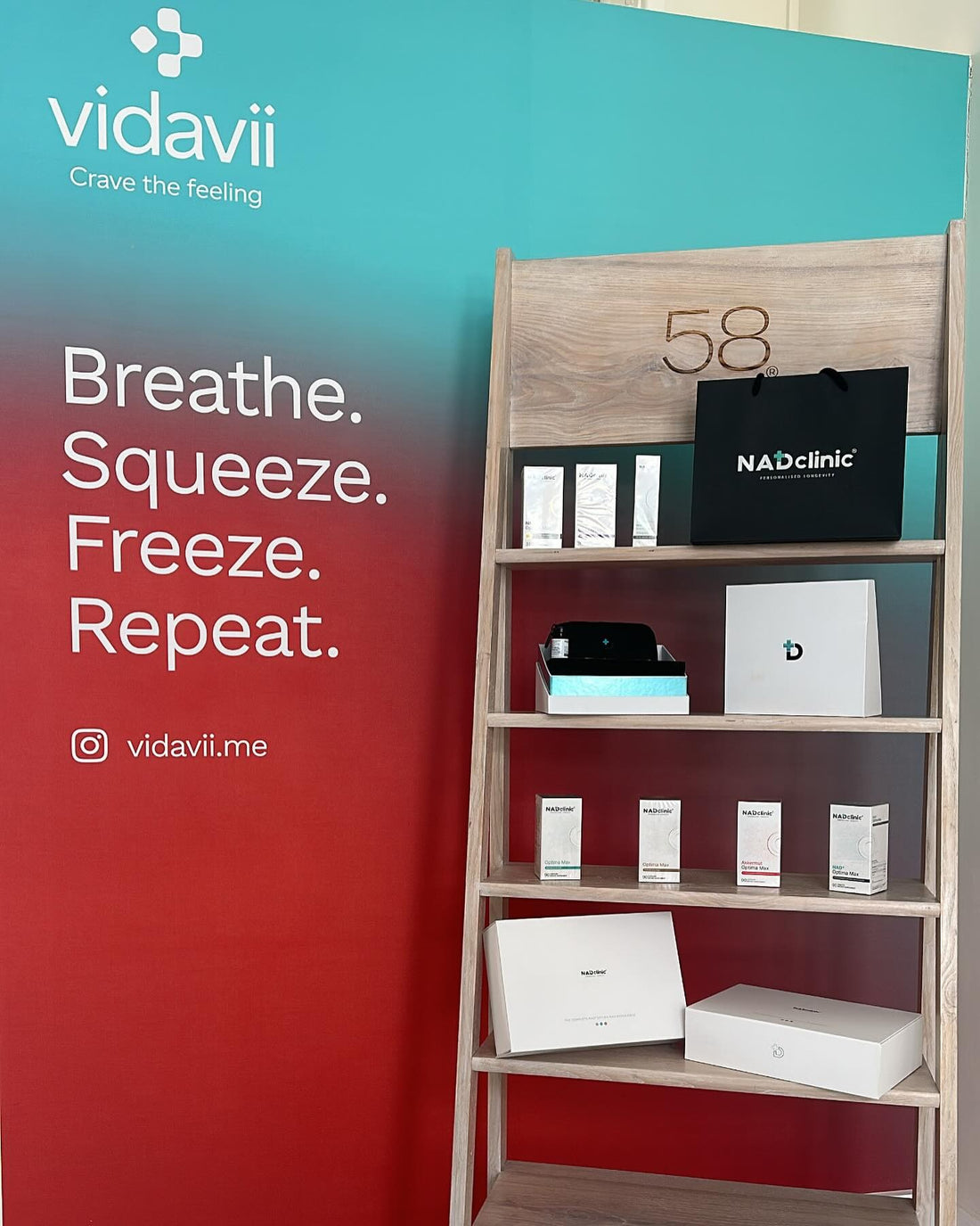 NAD+ Vidavii Circuit