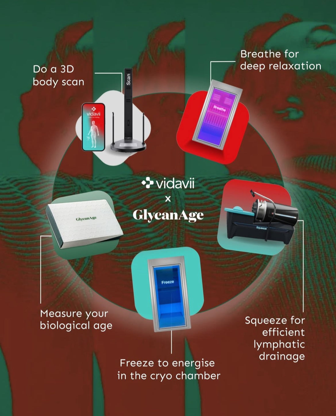 GlycanAge package 3M